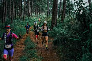 BIB: 
                            <button type="button" onclick="openModal(25660248)" class="btn btn-primary btn-sm float-right btn-popup" data-toggle="modal" data-target=".modal-high-quality">
                        <i class="fas fa-shopping-cart"></i> Add to Cart
                    </button>
                                            <button type="button" onclick="isThisMe(25660248, true)" class="btn btn-success btn-sm float-right btn-popup btn-isme hidden" data-toggle="tooltip" data-placement="bottom" title="นี่คือรูปของคุณใช่ไหม คลิกที่นี่เพื่อเอาเข้าอัลบั้ม">
                        <i class="fas fa-plus"></i> Add to album
                    </button>
                    <button type="button" onclick="isThisMe(25660248, false)" class="btn btn-warning btn-sm float-right btn-popup btn-isnotme hidden">
                        <i class="fas fa-ban"></i> Remove from album
                    </button>